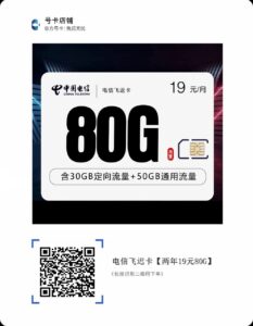 电信飞迟卡【两年19元80G】插图