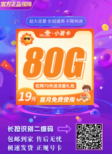 电信小夏卡19元80G插图