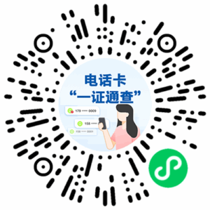 官方渠道，查查你名下有几张电话卡插图4