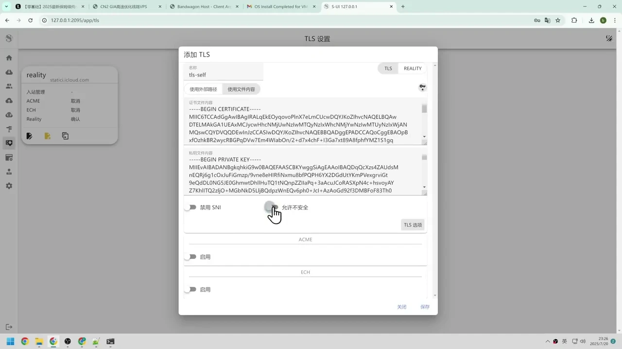 零基础教程：2025年最新VPS搭建高速专属节点，稳定访问外网插图13